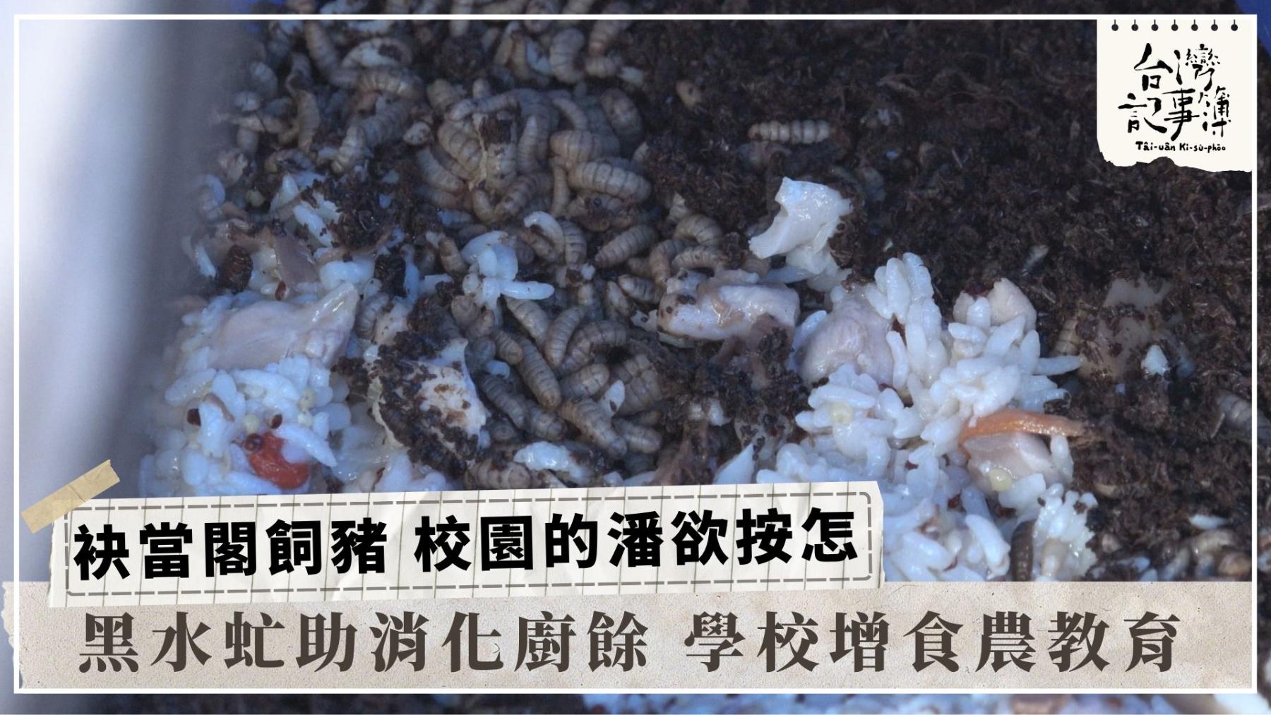 公視台語台