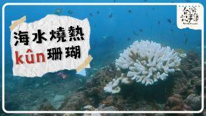 公視台語台